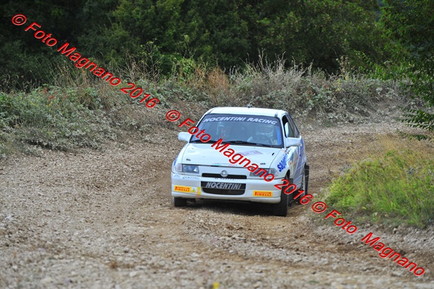 DSC_7990.JPG